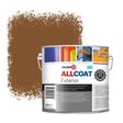 Zinsser Allcoat Exterior Wall Paint RAL 8003 Clay brown - 2,5 liter