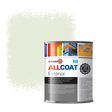 Zinsser Allcoat Per Pareti Per Uso Esterno RAL 9002 Bianco grigiastro - 1 litro