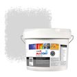Zinsser Allcoat Exterior Außen-Wandfarbe RAL 9018 Papyrusweiß - 10 liter